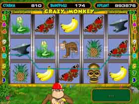 Crazy Monkey секреты Crazy Monkey секреты