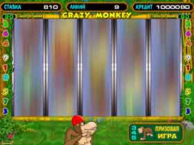 Бесплатный Crazy Monkey Бесплатный Crazy Monkey