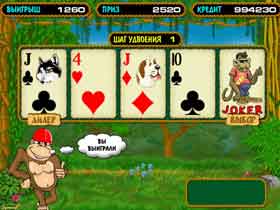 Crazy Monkey без регистрации Crazy Monkey без регистрации